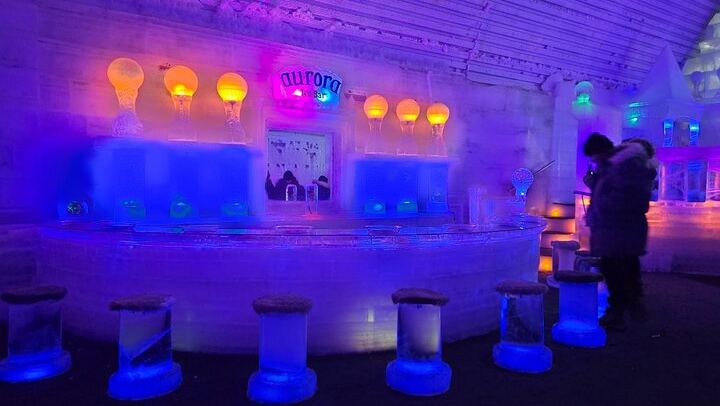 Chena Hot Springs Aurora Night with a Dedicated Guide and Portraits (4/12)