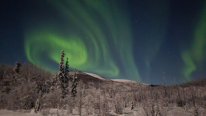 Chena Hot Springs Guided Night with Ice Museum and Aurora Photos (2/12)