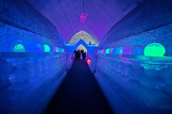 Chena Hot Springs Guided Night with Ice Museum and Aurora Photos