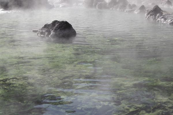 Forest Lagoon Geothermal Baths and Northern Lights Night from Akureyri