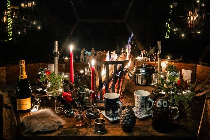 Das Arctic Conservatory: Ein privates Abendessen am Seeufer und eine Schneemobil-Safari (9/12)