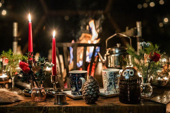 Aurora Gastronomy: Gourmet Glass Igloo Dinner and Snowmobile Safari (4/12)