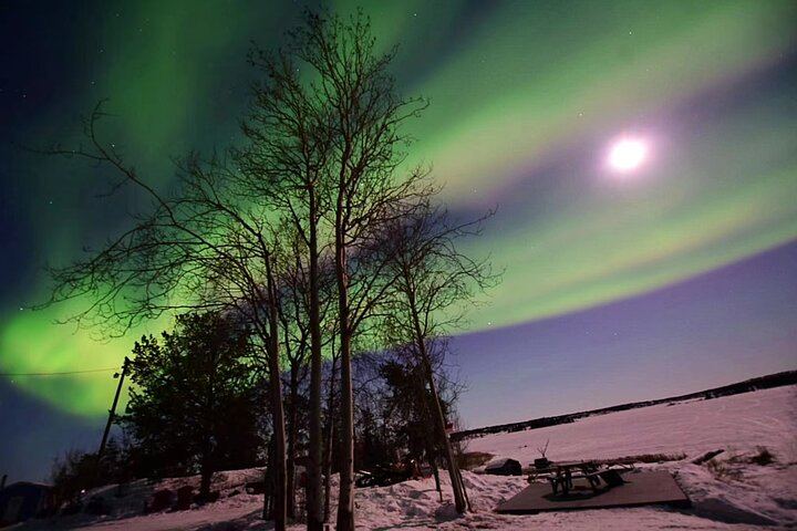 Yellowknife Aurora Camp with Heated Site and Free Photography (7/12)