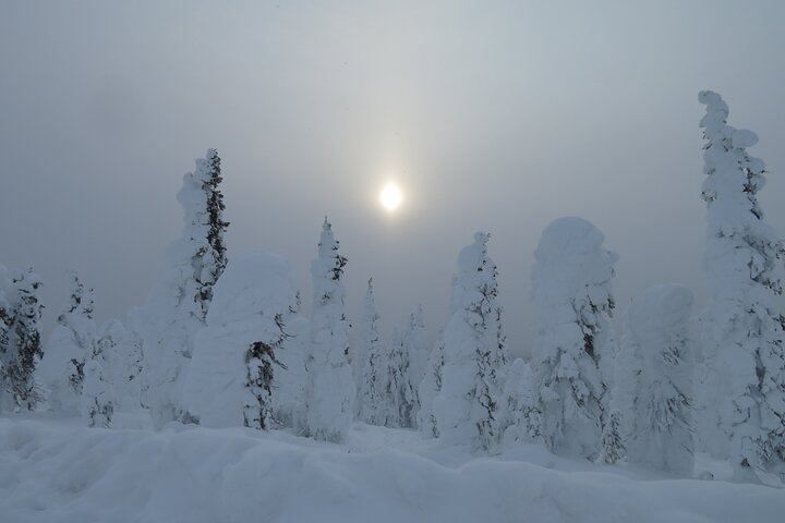 Arctic Circle Aurora Drive from Fairbanks on the Dalton Highway (9/12)