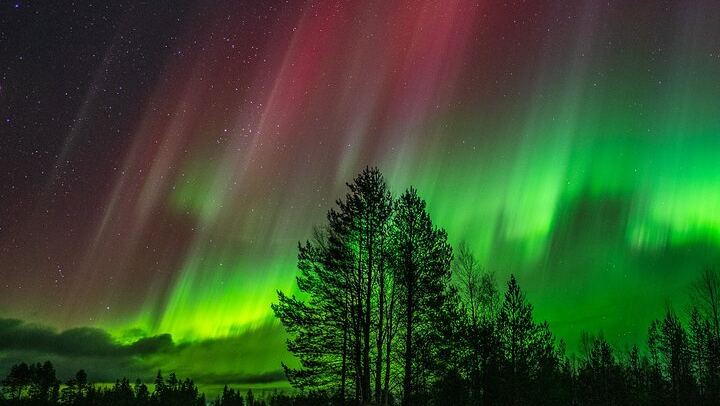 The Ultimate Aurora Hunt from Rovaniemi, 8 to 12 Hours, No Distance Limit