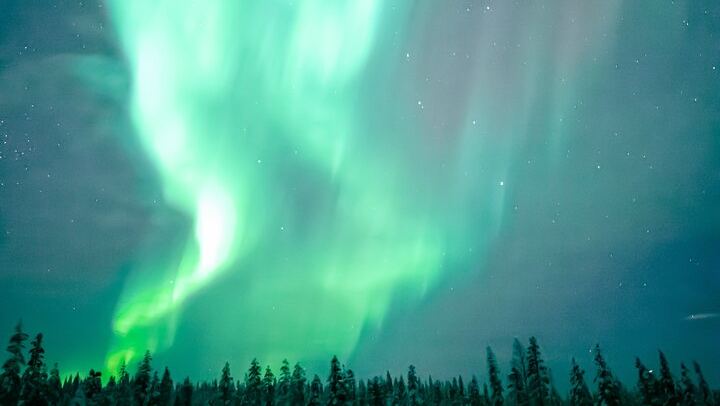 Die ultimative Polarlichtjagd ab Rovaniemi, 8 bis 12 Stunden, ohne Kilometerbeschränkung (4/7)