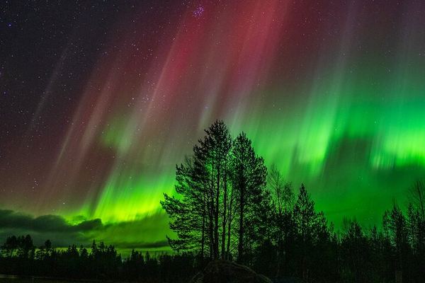 The Ultimate Aurora Hunt from Rovaniemi, 8 to 12 Hours, No Distance Limit