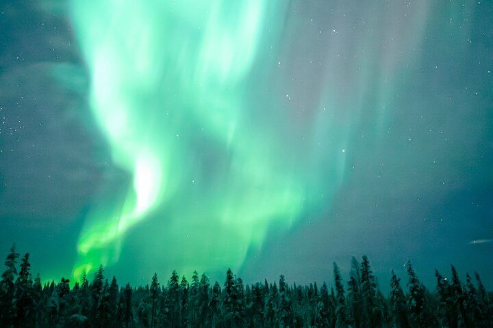 Die ultimative Polarlichtjagd ab Rovaniemi, 8 bis 12 Stunden, ohne Kilometerbeschränkung (4/7)