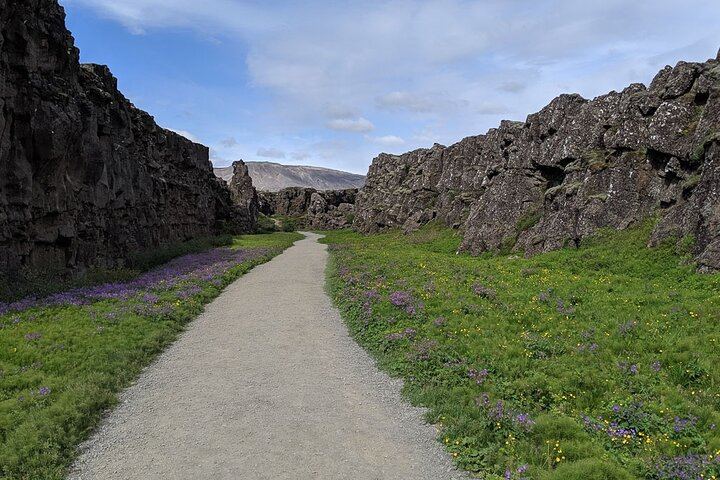 Golden Circle and Northern Lights Tour from Reykjavík in One Day (8/8)
