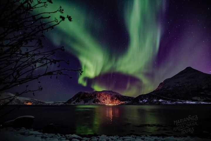Marianne's Heaven On Earth Aurora Chaser Tours from Tromso (12/12)