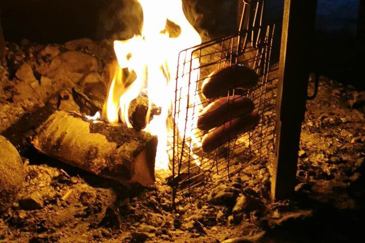 Aurora BBQ at a Private Kota near Rovaniemi, Three Hours (4/10)