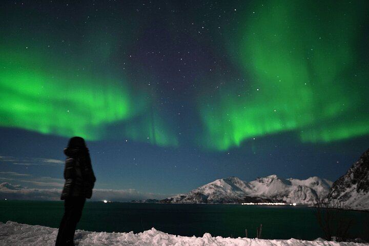 Northern Lights Safari from Tromso, 8 Guests, Hotel Pickup and Thermal Suits (12/12)
