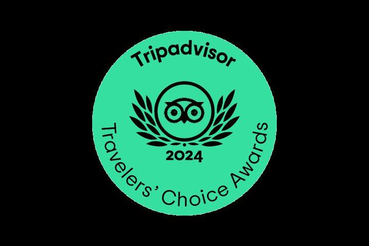 Tromso Northern Lights by Minibus with a Warm Dinner and Free Photos (4/12)