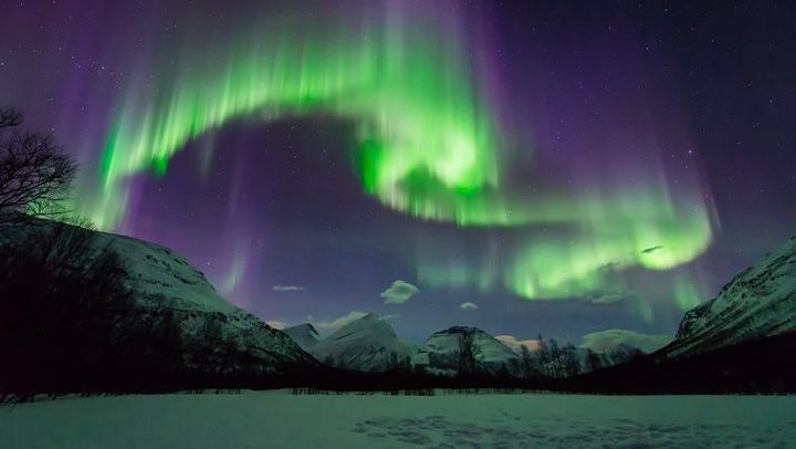 Chasse aux aurores à Tromsø, avec feu de joie, repas chaud, combinaison thermique et photos (3/12)