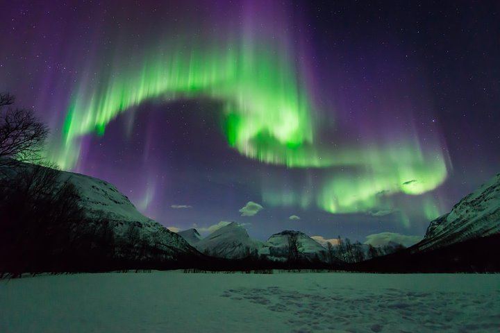Chasse aux aurores à Tromsø, avec feu de joie, repas chaud, combinaison thermique et photos (3/12)