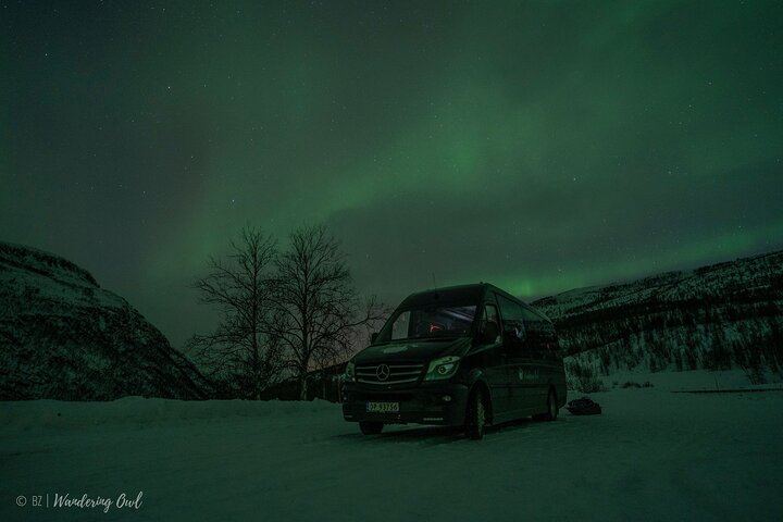 Chasse aux aurores à Tromsø, avec feu de joie, repas chaud, combinaison thermique et photos (7/12)