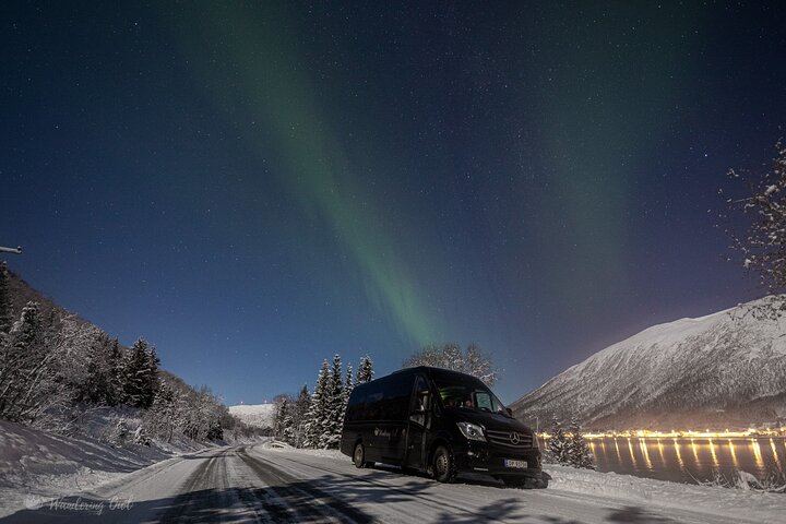 Chasse aux aurores à Tromsø, avec feu de joie, repas chaud, combinaison thermique et photos (10/12)