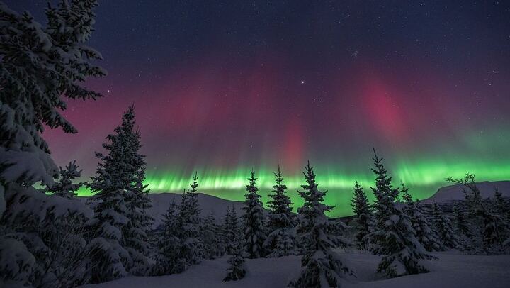 Tromso Aurora Magic Tour by Bus with Professional Photos (1/7)