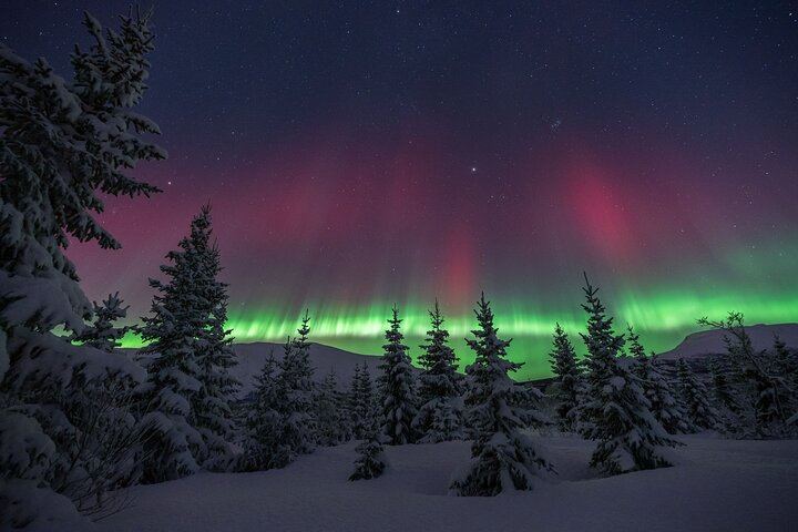 Tromso Aurora Magic Tour by Bus with Professional Photos (1/7)