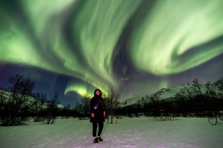 Tromso Aurora Magic Tour by Bus with Professional Photos (2/7)