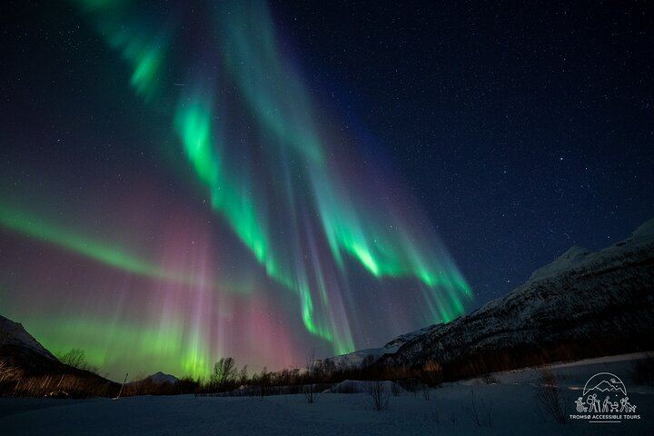 Tromso Aurora Tour For All, Accessible Northern Lights Chase (4/4)
