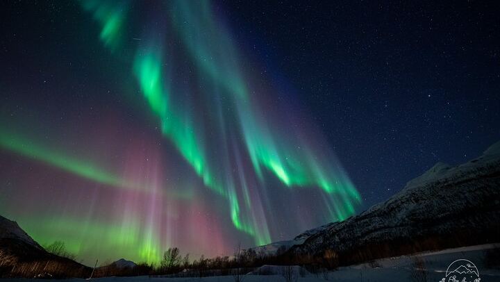 Tromso Aurora Tour For All, Accessible Northern Lights Chase (4/4)