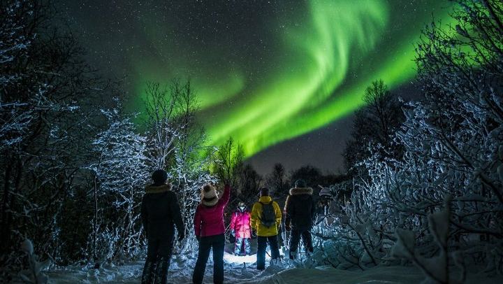 Chasse aux aurores à Tromsø, en autocar classique ou en minibus pour petits groupes (1/12)