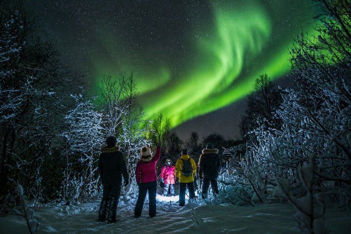 Chasse aux aurores à Tromsø, en autocar classique ou en minibus pour petits groupes (1/12)