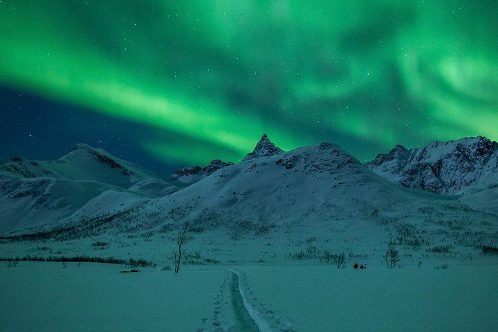 Chasse aux aurores à Tromsø, en autocar classique ou en minibus pour petits groupes (5/12)