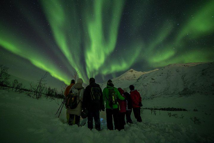 Chasse aux aurores à Tromsø, en autocar classique ou en minibus pour petits groupes (10/12)