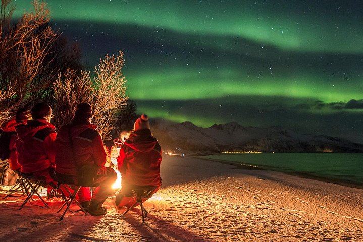 Chasse aux aurores à Tromsø, en autocar classique ou en minibus pour petits groupes (9/12)