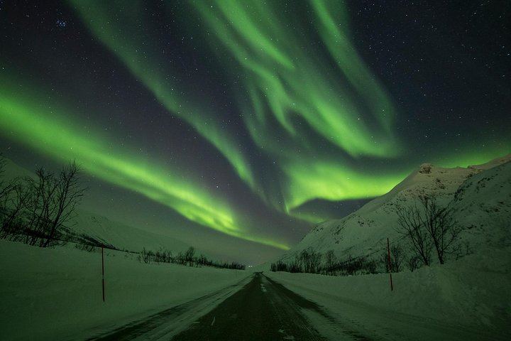 Chasse aux aurores à Tromsø, en autocar classique ou en minibus pour petits groupes (8/12)