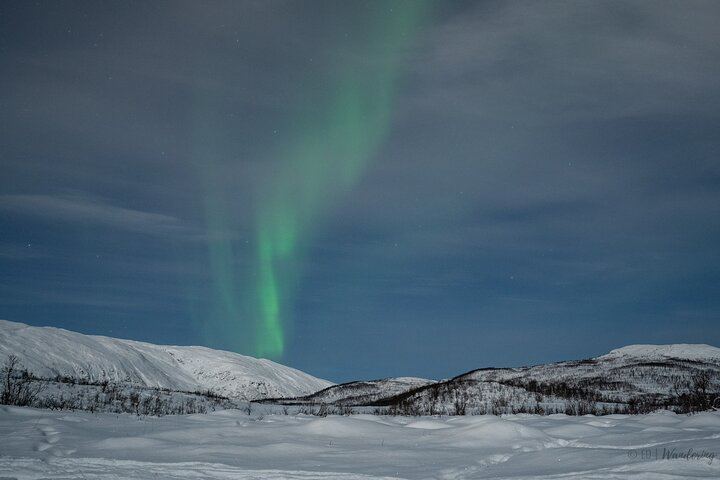 Tromso Express Aurora Hunt with a Guaranteed Four Hour Return (6/6)