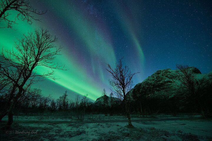 Tromso Express Aurora Hunt with a Guaranteed Four Hour Return (5/6)