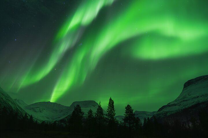 Aventure en bus pour observer les aurores boréales à Tromsø, avec toilettes à bord et séances de photos (4/12)