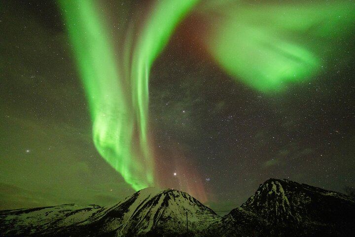 Aventure en bus pour observer les aurores boréales à Tromsø, avec toilettes à bord et séances de photos (10/12)