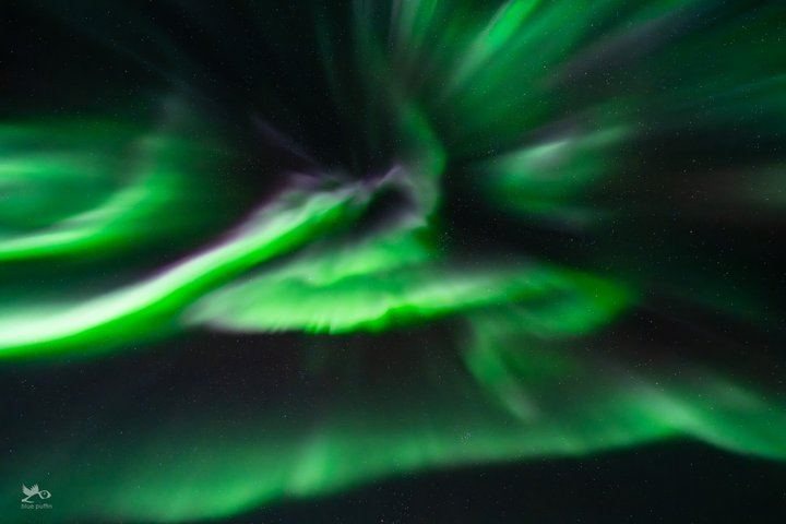 Tromso Northern Lights by Minibus with a Warm Dinner and Free Photos (11/12)