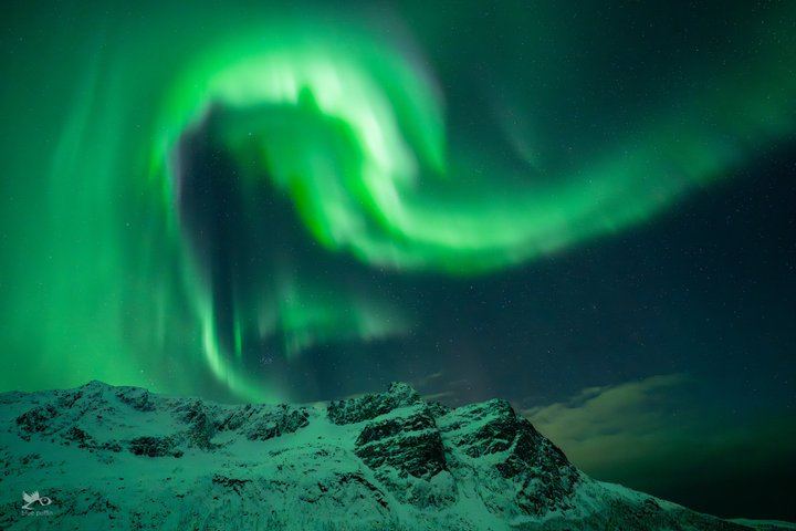 Tromso Northern Lights by Minibus with a Warm Dinner and Free Photos (6/12)