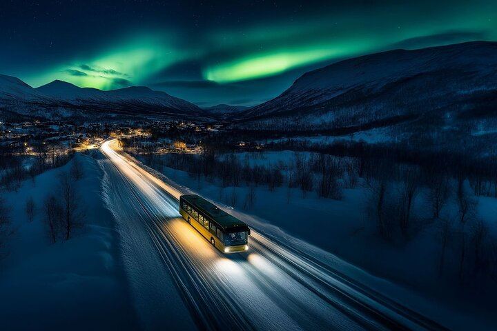 Tromso Northern Lights Safari by Bus with Expert Guides and Photos (3/12)