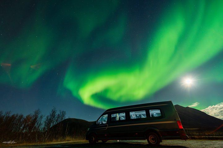 Tromso Northern Lights Safari by Bus with Expert Guides and Photos (11/12)