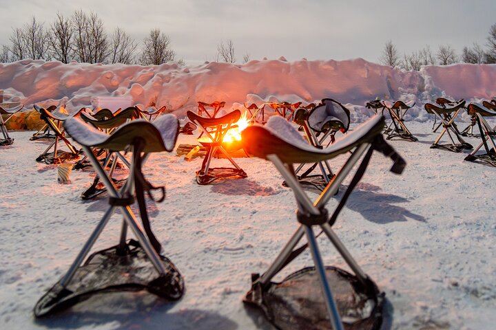Tromso Northern Lights Safari by Bus with Expert Guides and Photos (9/12)