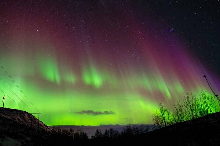 Aurores boréales à Tromsø, avec feu de camp, saucisses de renne et séances photos (10/12)
