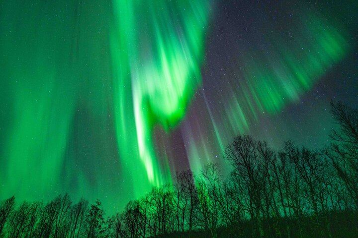 Aurores boréales à Tromsø, avec feu de camp, saucisses de renne et séances photos (6/12)