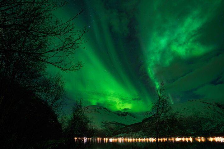 Aurores boréales à Tromsø, avec feu de camp, saucisses de renne et séances photos (11/12)