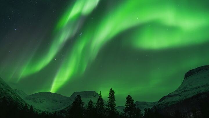 Aventure en bus pour observer les aurores boréales à Tromsø, avec toilettes à bord et séances de photos (4/12)