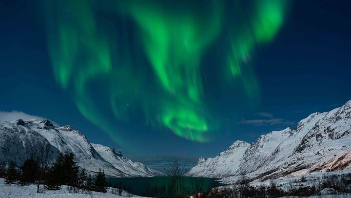 Aurores boréales à Tromsø, avec feu de camp, saucisses de renne et séances photos (4/12)