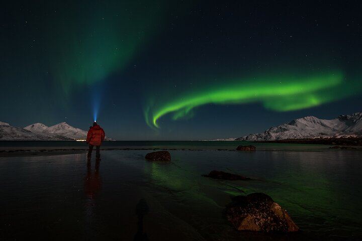 Chasse aux aurores à Tromsø en petit groupe de six personnes, avec un guide local (1/12)