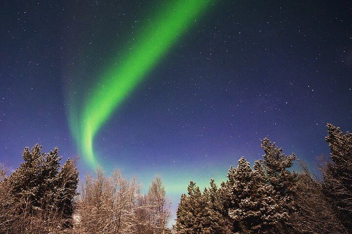 Chasse aux aurores à Tromsø en petit groupe de six personnes, avec un guide local (10/12)