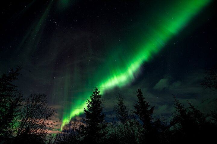 Chasse aux aurores à Tromsø en petit groupe de six personnes, avec un guide local (12/12)