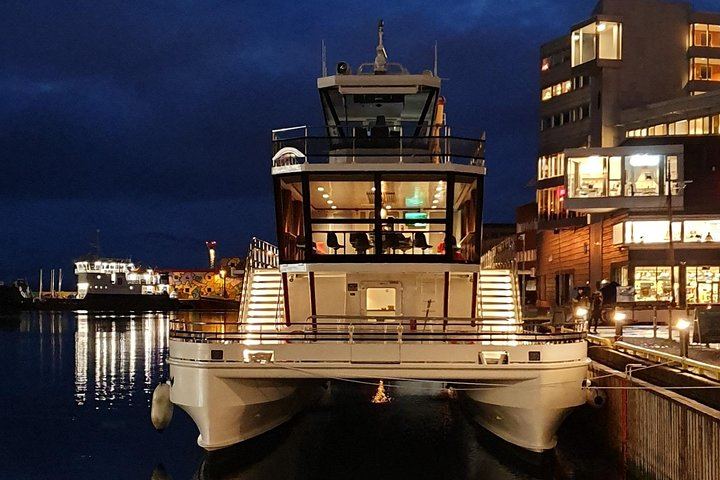 Kreuzfahrt zur Beobachtung des Polarlichts von Tromsø mit einem dreigängigen Abendessen an Bord (1/12)